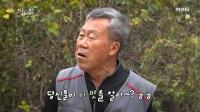 일흔, 이제 놀아볼까! 자연인 성기정 MBN 251105 방송