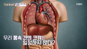 우리 몸에서 가장 큰 장기, 간의 비밀 MBN 251106 방송