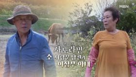 [713회] 소 사랑꾼 남편과 여장부 아내 MBN 251109 방송