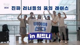 다시 만난 뛰산 멤버들! 세계 7대 메이저 대회 시드니 마라톤으로 출발 MBN 251110 방송