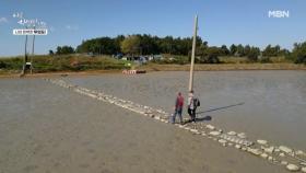 35년간 버려졌던 하트섬, 그곳에 들어간 남자 MBN 251112 방송