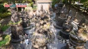 한국의 앙코르와트, 상소동 산림욕장과 볼거리 가득한 테마공원 MBN 251111 방송