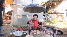 아내를 위한 기훈 씨의 깜짝 발명품, 아내의 반응은? MBN 251113 방송