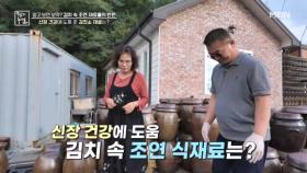 신장 건강에 도움 준 김칫소 재료의 정체 MBN 251114 방송