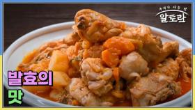 발효의 맛 MBN 251116 방송