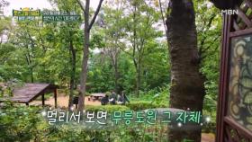 무릉도원같은 대운산에서 힐링하며 돌아보기 Time MBN 251114 방송