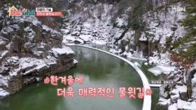 한겨울에 더욱 매력적인 한탄강 물윗길 걷기 MBN 251119 방송