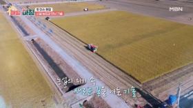 ＜핫 이슈 현장＞ 위기의 농업 MBN 251119 방송