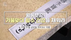 월동보감! 겨울맞이 필수 건강을 채워라! MBN 251121 방송