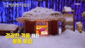 특별한 비법이 담긴 월동 보감 MBN 251121 방송