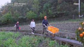 [선공개] 일쟁이 복연 할매와 미운 우리 영감 MBN 251123 방송