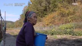 급한 성격이 습관이 된 아내, 그 뒤에 사연은? MBN 251123 방송