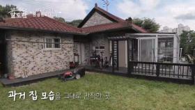 배우 임현식의 천 평 한옥 대공개! 57년 연기 인생 엄청난 보물의 정체는? MBN 251123 방송