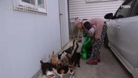 정 많은 복연 할매는 일이 습관이야~ MBN 251123 방송