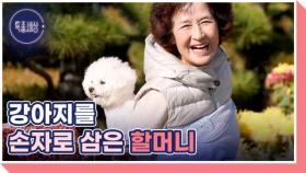 어부바 강아지 영배, 할머니를 살린 사연 MBN 251127 방송