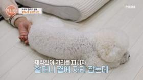 “불이 확 붙었어요” 아픈 할머니의 곁을 지키는 영배 MBN 251127 방송