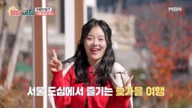 ＜여행의 발견＞ 서울에서 찾은 힐링 명소! MBN 251127 방송