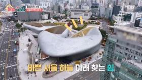 즐길거리 가득한 서울의 랜드마크 ’동대문디자인플라자‘ MBN 251127 방송