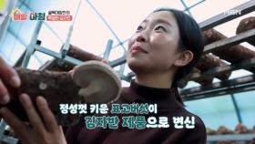 ＜나는 골목대장이다＞ 지역 먹거리의 대변신! MBN 251127 방송