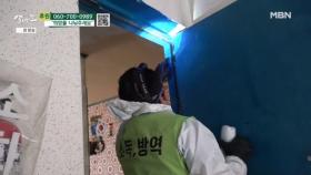 바퀴벌레 방역을 하는 업체 대표 MBN 251129 방송