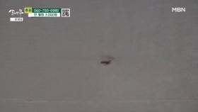 집 안에 많은 바퀴벌레 MBN 251129 방송