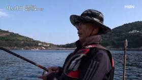 섬에서 유유자적 즐기는 슬로우 라이프! MBN 251130 방송