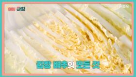 매일아침 [128회] MBN 251201 방송