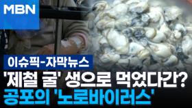 [자막뉴스] '제철 굴' 생으로 먹었다간?…공포의 '노로바이러스' | 이슈픽