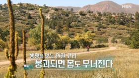 특집다큐H ＜생명을 잇는 연결 고리 붕괴되면 몸도 무너진다＞ MBN 251214 방송