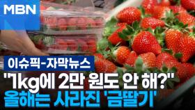 [자막뉴스] ＂1kg에 2만 원도 안 해?＂ 올해는 사라진 '금딸기' | 이슈픽
