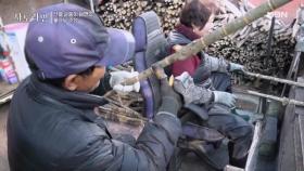 [선공개] 산골 순둥이 남편의 옻나무 순정 MBN 251214 방송