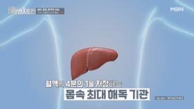 체내 가장 큰 해독 기관, 간의 역할 MBN 251214 방송