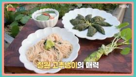 매일아침 [135회] MBN 251215 방송