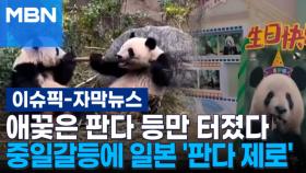 [자막뉴스] 애꿎은 판다 등만 터졌다, 중일갈등에 일본 '판다 제로' | 이슈픽