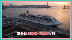 매일아침 [137회] MBN 251217 방송