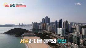 ＜여행의 기술＞ 먹거리와 볼거리가 가득한 겨울 부산 여행 MBN 251217 방송