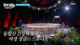 [현역가왕3] 오직 실력으로 찍어누르는 프로정글녀들의 생존게임~! MBN 251223 방송