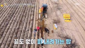 땅을 파고! 또 파고! 땅속에서 찾은 혈관 건강법은? MBN 251219 방송