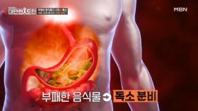 부패한 음식물이 내뿜는 독소, 비만균을 부른다 MBN 251221 방송