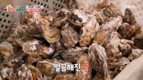 겨울 바다의 맛! 제철 맞은 바다의 보석, 천북 굴 MBN 251222 방송