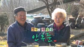 쨍하고 해 뜰 날 자연인 안후준 MBN 251224 방송