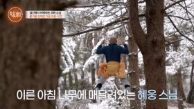 “자 63빌딩으로 올라갑니다” 나무에 매달려 수행을 펼치는 스님 MBN 251225 방송