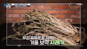 (한의학 박사 추천) 부신 호르몬 사수하는 법! 겨울철 보약 「시래기」 MBN 251230 방송