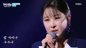 하이량 ♬ 모성초 MBN 251230 방송