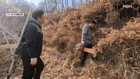 잿더미 위에서 다시 시작! MBN 251231 방송