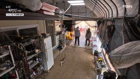 산불도 비켜 간 자연인의 보금자리 MBN 251231 방송