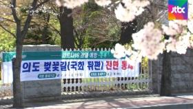 '벚꽃과 거리두기'…주말 윤중로·양재천 등 통행 금지