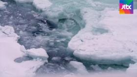 녹아내리는 북극 빙하…2012년 이후 최소 면적｜아침&지금