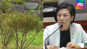 [단독] 고발 이후 '김현미 농지' 가보니 정비한 모습…커지는 주택 명의신탁 의혹