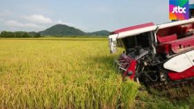 수해·병충해 적은 올해 쌀농사 풍년…농민·소비자 '불만'